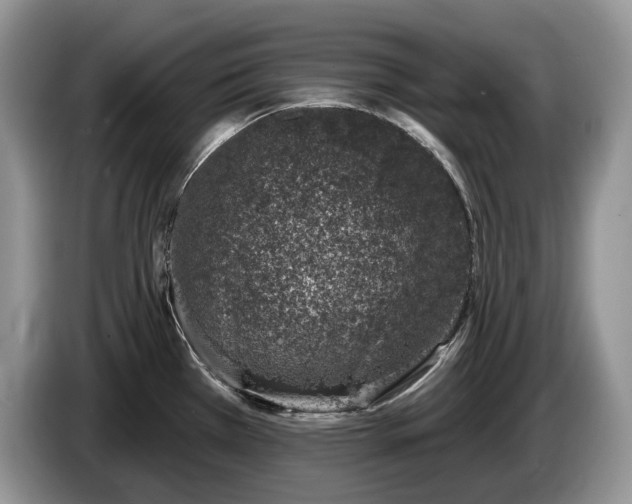 X0000086271385200704122021