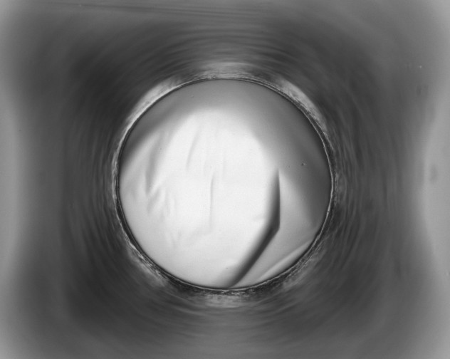 X0000086271386200704122021