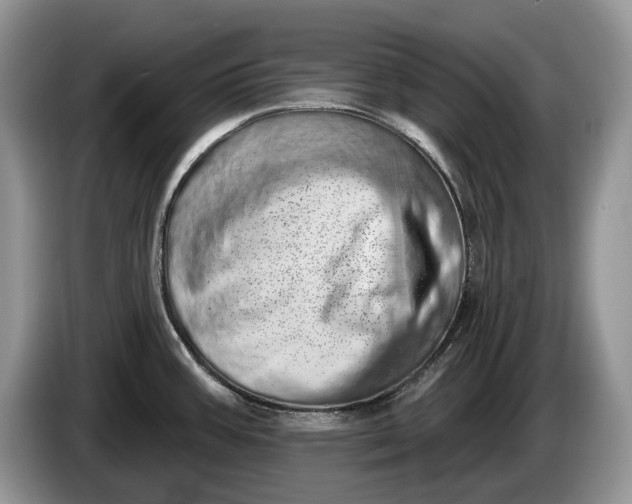 X0000086271387200704122021