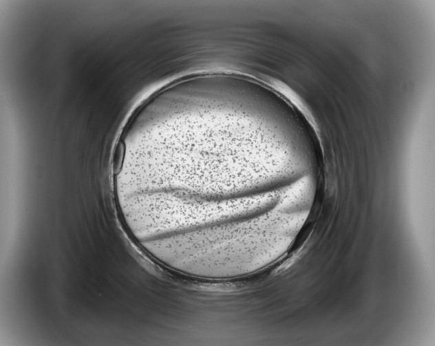 X0000086271388200704122021