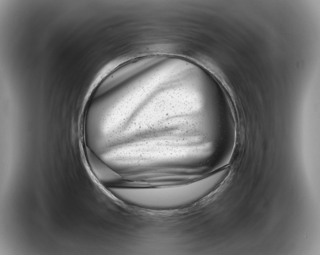 X0000086271389200704122021