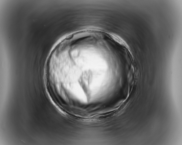 X0000086271391200704122021