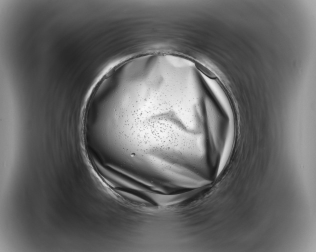 X0000086271392200704122021