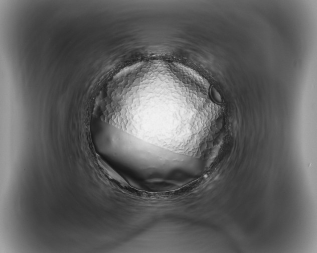 X0000086271393200704122020