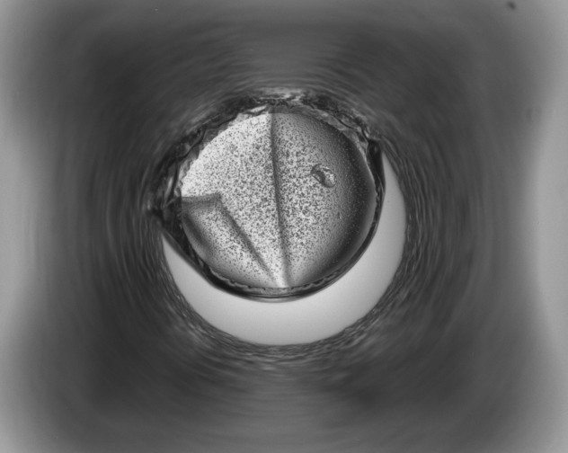 X0000086271394200704122020