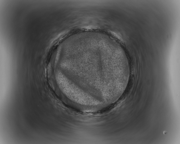 X0000086271398200704122020