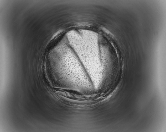 X0000086271401200704122020