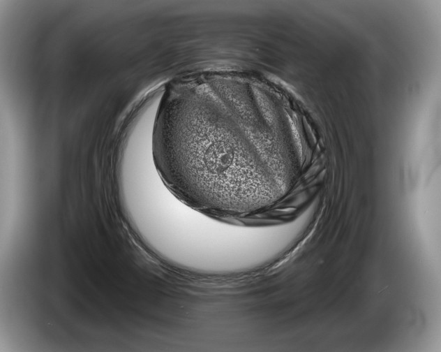 X0000086271402200704122020