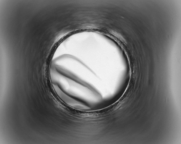 X0000086271404200704122020