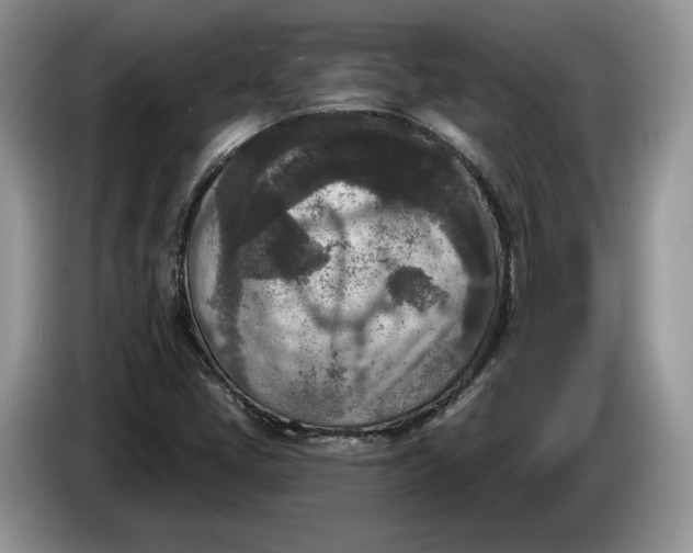 X0000086271405200704122020