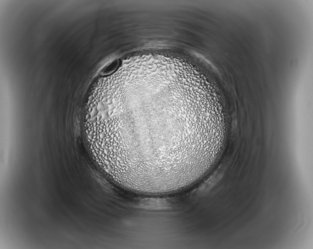 X0000086271409200704122020