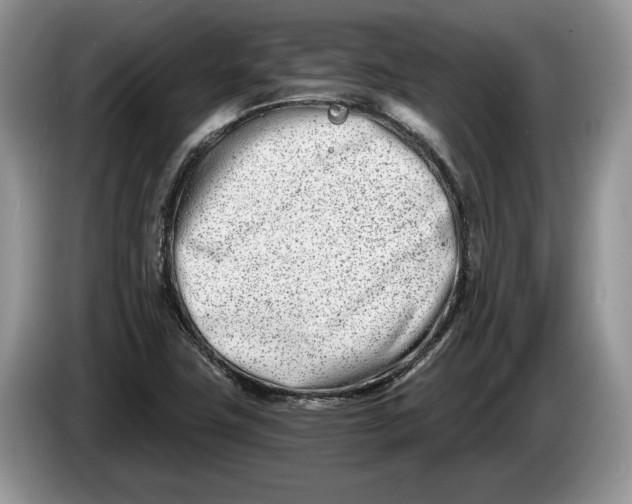 X0000086271411200704122020