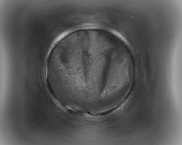 X0000086271413200704122020