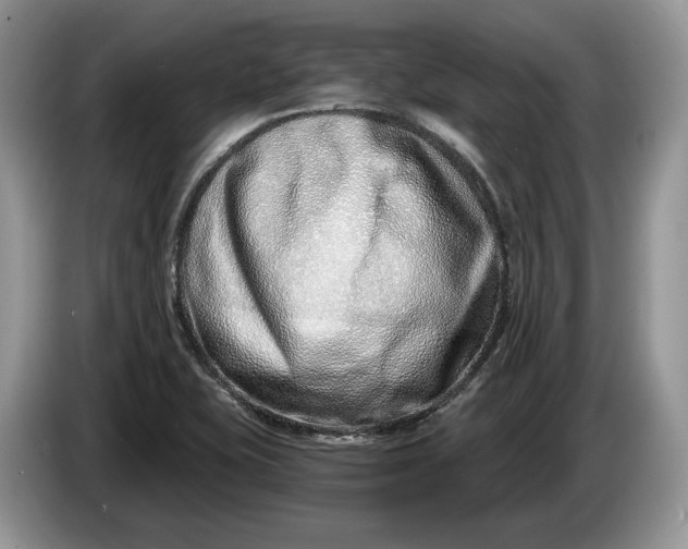 X0000086271415200704122020