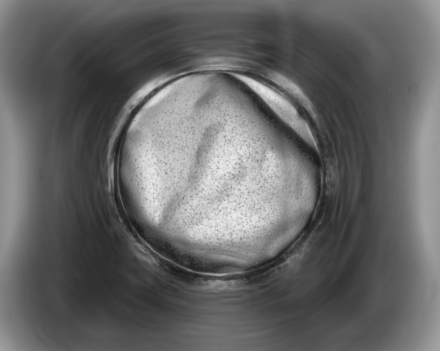 X0000086271419200704122020