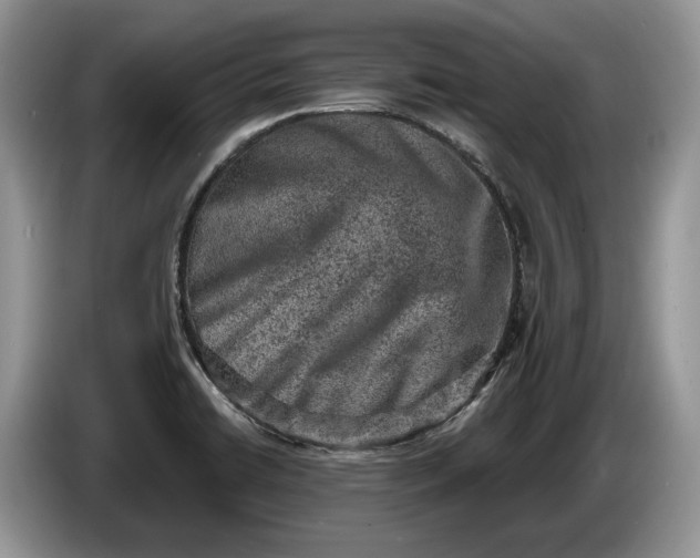 X0000086271422200704122020