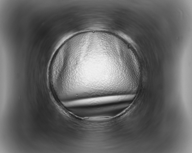 X0000086271423200704122020