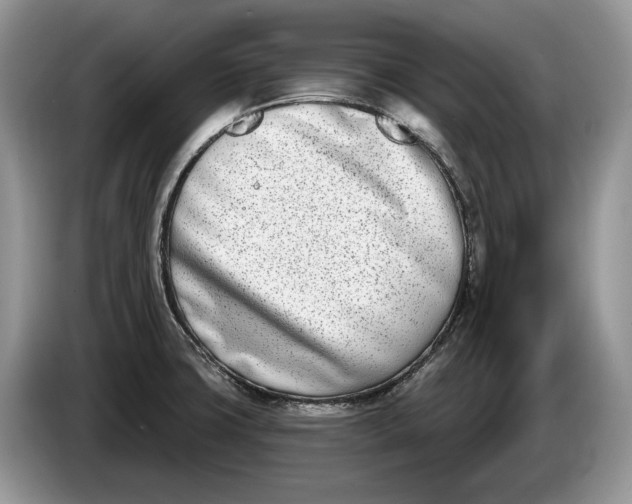 X0000086271427200704122020