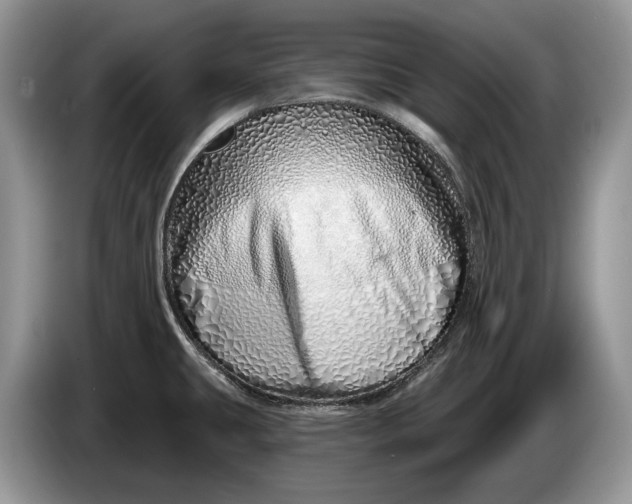 X0000086271431200704122020