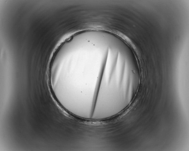 X0000086271432200704122020