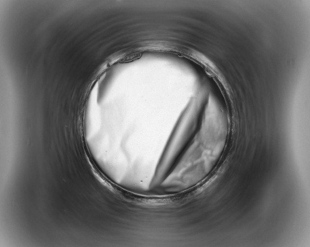 X0000086271433200704122021