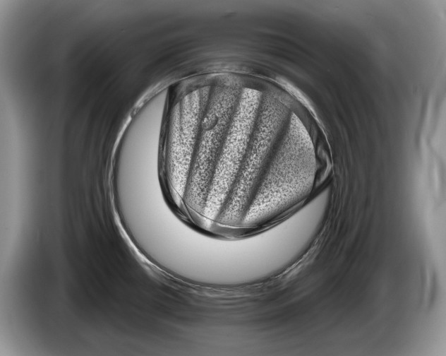 X0000086271434200704122021