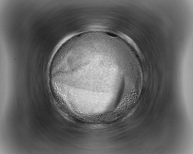 X0000086271435200704122021