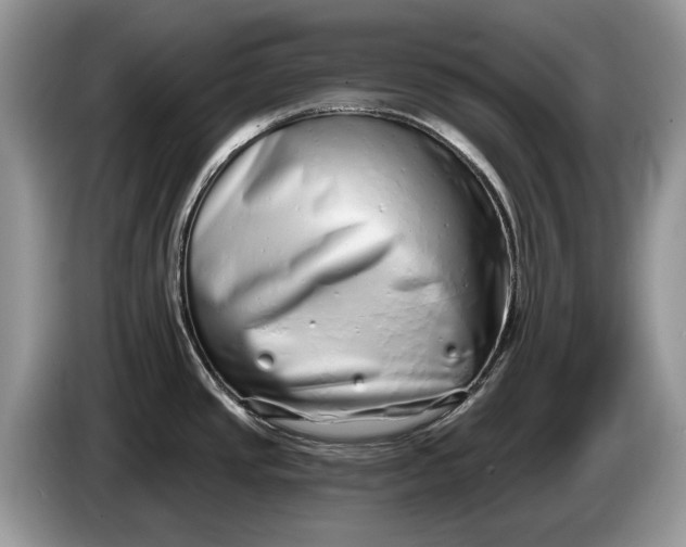 X0000086271437200704122021