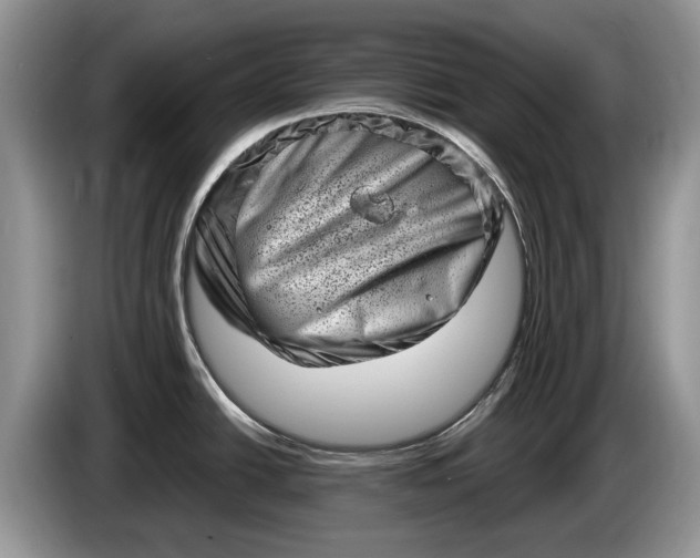 X0000086271438200704122021