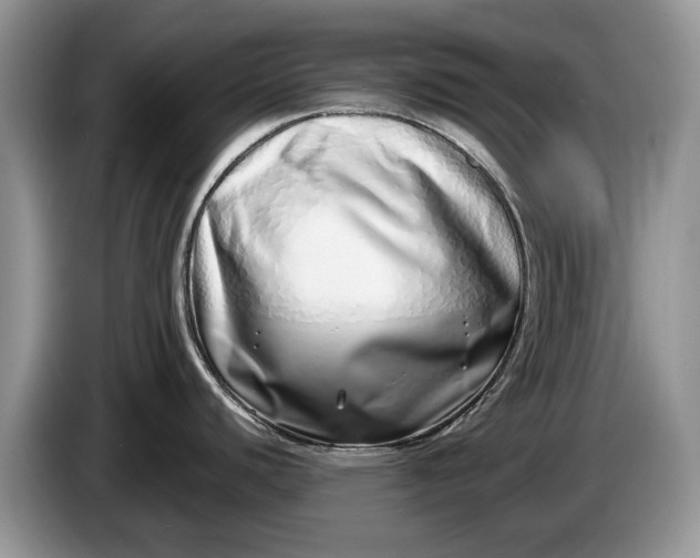 X0000086271440200704122021