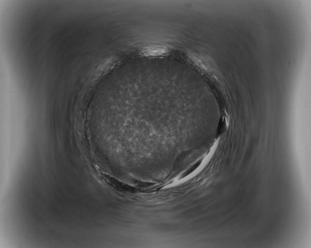 X0000086271441200704122020