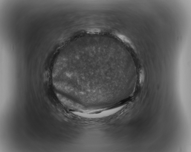 X0000086271445200704122020