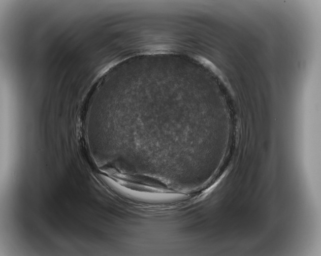 X0000086271449200704122020