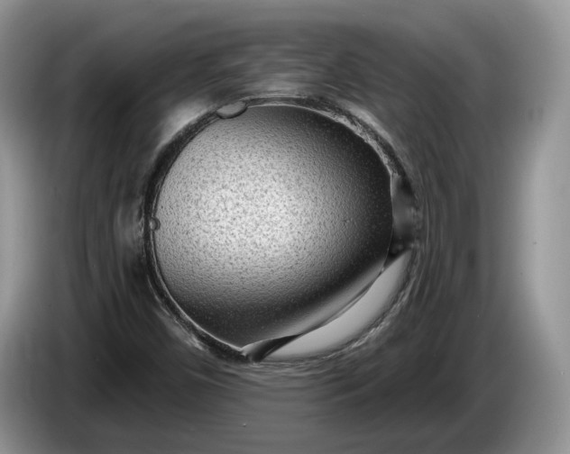 X0000086271450200704122020