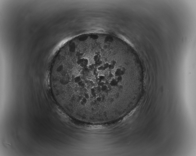 X0000086271455200704122020