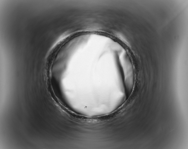 X0000086271456200704122020