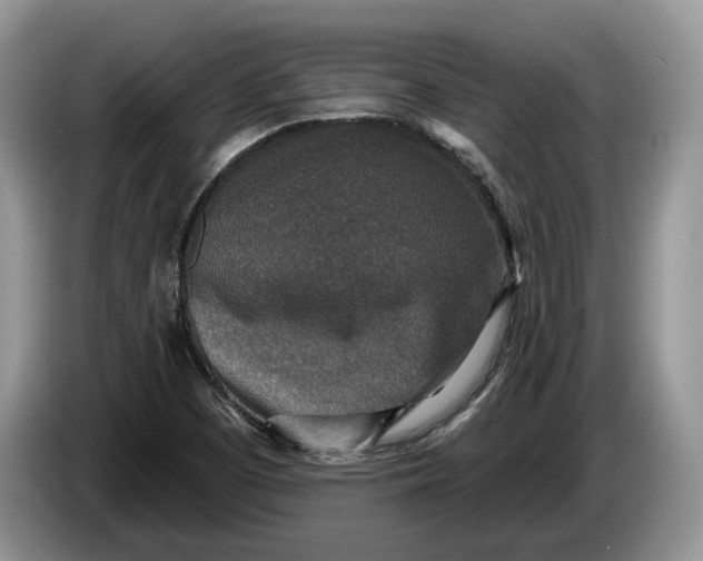 X0000086271457200704122020