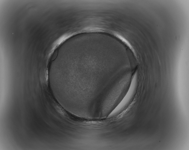 X0000086271461200704122020