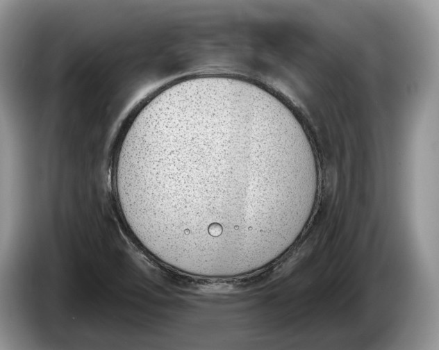 X0000086271462200704122020