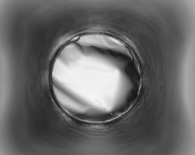 X0000086271464200704122020