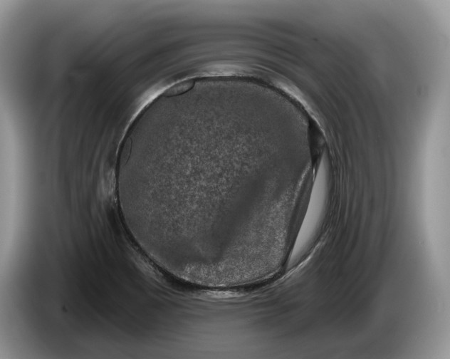 X0000086271465200704122020