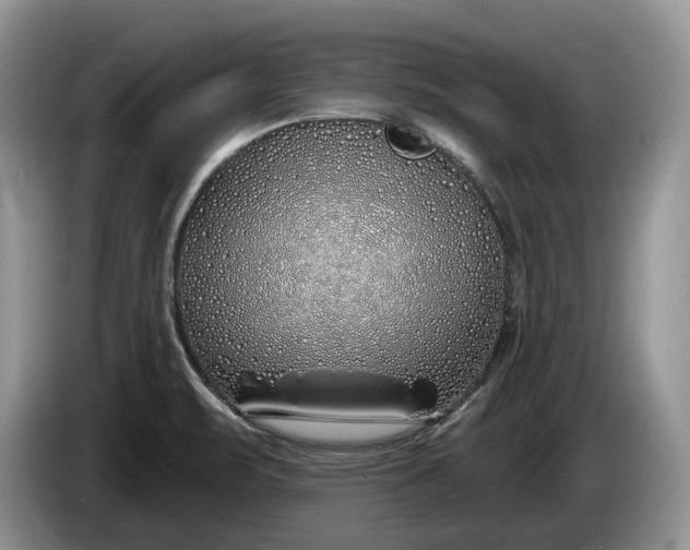 X0000086271471200704122020