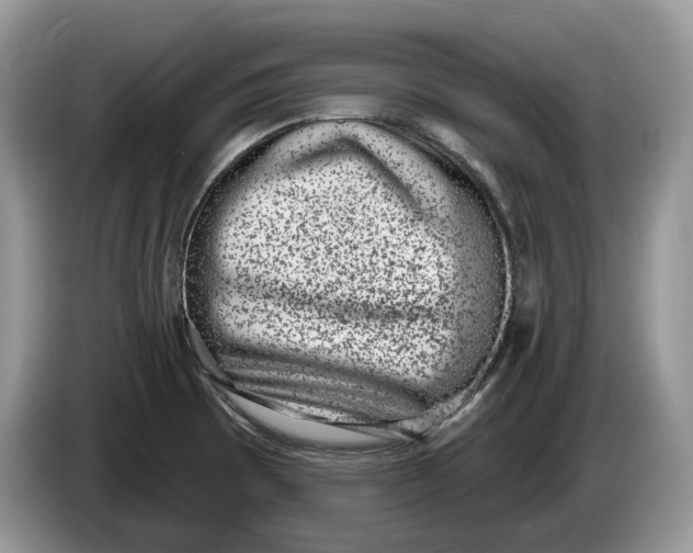 X0000086271473200704122020