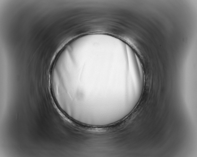 X0000086271476200704122020