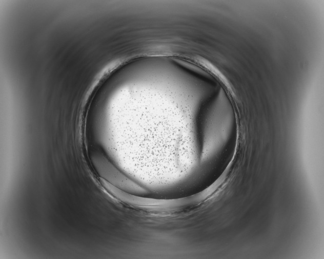 X0000086271477200704122019