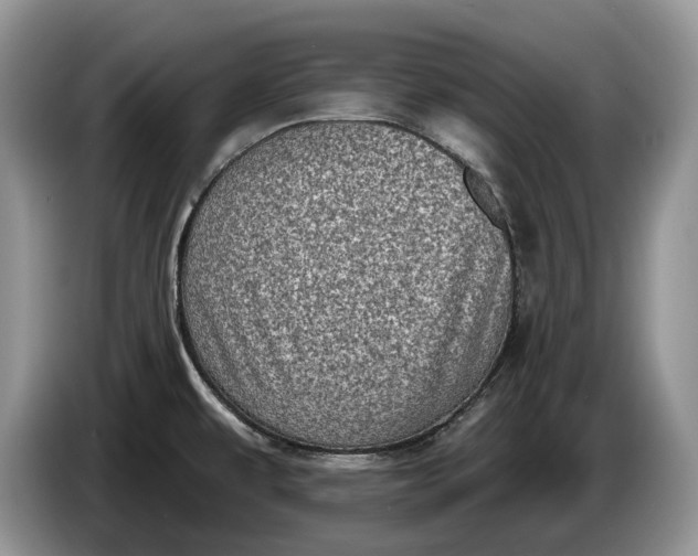 X0000086271479200704122019