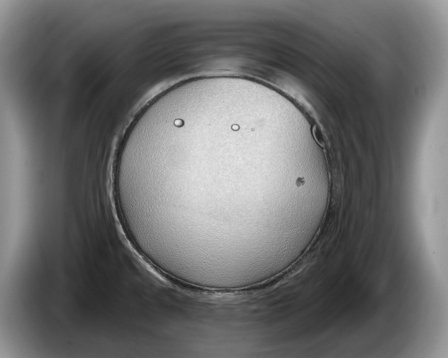 X0000086271480200704122019