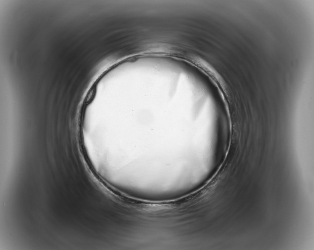 X0000086271483200704122019