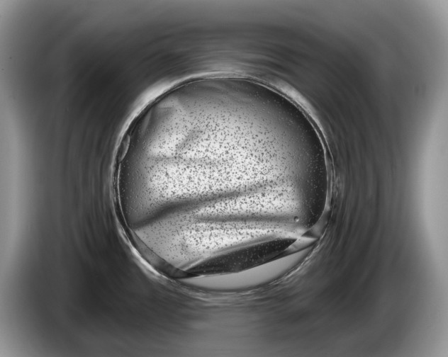X0000086271485200704122019