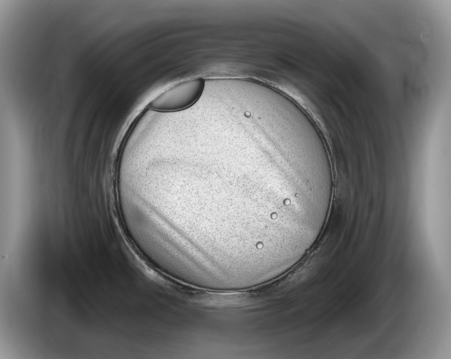 X0000086271486200704122019